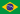 Camila Silva flag